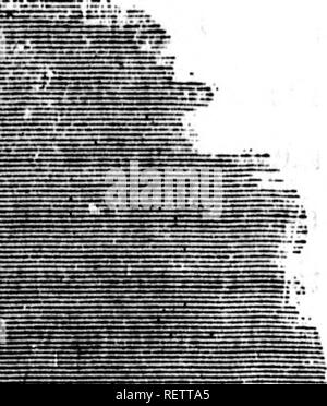 . Godfrey's narrative de la dernière exploration arctique Grinnell txpedition [sic] à la recherche de Sir John Franklin, 1853-4-5 [microforme] : avec une biographie de M. Élisée K. Kane, du berceau à la tombe. Kane, Elisha Kent, 1820-1857 ; Kane, Elisha Kent, 1820-1857 ; l'avance (navire) ; l'avance (Ship) ; des expéditions scientifiques, Expéditions scientifiques. Expédition d'exploration de Grinnell. 245. Veuillez noter que ces images sont extraites de la page numérisée des images qui peuvent avoir été retouchées numériquement pour plus de lisibilité - coloration et l'aspect de ces illustrations ne peut pas parfaitement ressembler à l'original wor Banque D'Images