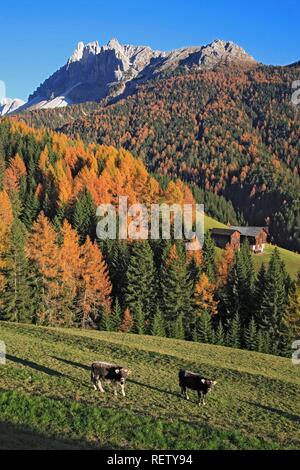 Le Passo delle Erbe, mountain pass à Funes Vallée, Bolzano-Bozen, Italie, Europe Banque D'Images