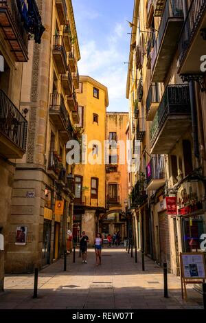 Ruelle étroite, allée, entre les maisons, Barri Gòtic, El Gòtic, quartier gothique, vieille ville, Barcelone, Catalogne, Espagne Banque D'Images