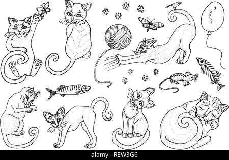 Jeu de cute cats. Chatons collection. Icônes de l'illustration vectorielle, les dessins au trait en animaux dessinés à la main. Sketch vintage gravé. Des éléments décoratifs. Du poisson et des aliments et une pelote de laine. Illustration de Vecteur