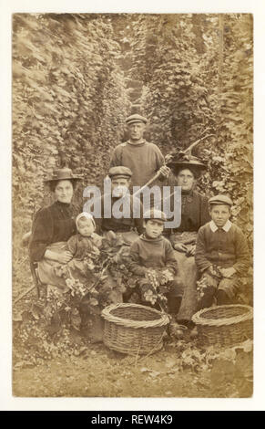 Carte postale édouardienne de groupe de la famille des cueilleurs de houblon, avec des enfants, mettre le houblon dans des paniers ou '' vers 1910, Kent, Royaume-Uni 1915 Banque D'Images