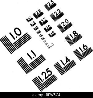 . Mémoires philosophiques, historiques, physiques [microforme] : concernant la découverte de l'Amérique, ses anciens habitans, leurs moeurs, leurs usages, leur relation avec les nouveaux habitans, leur religion ancienne &AMP ; moderne, les produits des trois règnes de la nature, &AMP ; en particulier les mines, leur exploitation, leur immense produit ignoré jusqu'ici. Sciences naturelles ; l'histoire naturelle. TEST D'ÉVALUATION D'IMAGE CIBLE (MT-3) k :/. C/a m !.0 ^Kâ je l.v 2.5 u m ii25 il 1.4 - 6" I I.Ô V] ^^ ? ; /&gt ; C. Veuillez noter que ces images sont extraites de la page numérisée des images qui ma Banque D'Images