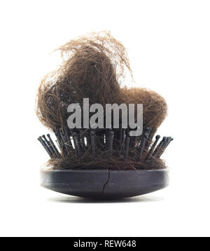 Brosse à cheveux poils isolés. Isolé avec brosse noir de la calvitie perte de cheveux sur un fond blanc. Banque D'Images