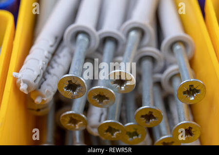 Vis et chevilles pour accueil réparation. Accessoires pour atelier mécanique sur une table. Fond clair. Banque D'Images