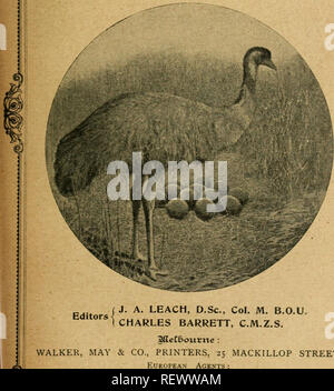 . L'UEM. Les oiseaux -- Périodiques ; Les oiseaux -- Australasie périodiques. Tome XV.] octobre, 1915. [Partie 2. #  L'UEM -^^^ [ un Magazine Trimestriel pour populariser l'étude et la protection des oiseaux indigènes. Organe officiel de la Royal Australasian ORNITHOLOGISTS' UNION EUROPÉENNE.. J. A. Leach, D.Sc, le Colonel M. B.O.U. CHARLES BARRETT, C.M.Z.S. WALKER, PEUT &AMP ; CO., imprimantes, 25 MACKILLOP STREET. Agents européens : WITHERBY &AMP ; CO., 326 High Holborn, London. 1915.. Veuillez noter que ces images sont extraites de la page numérisée des images qui peuvent avoir été retouchées numériquement pour plus de lisibilité - coloration et apparition de th Banque D'Images