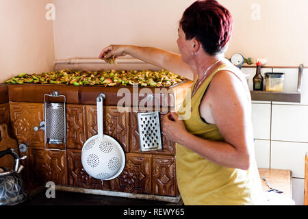 Vue latérale d'une brunette qui sèchent les fruits en tranches. Le woman pouring les gousses sur le dessus de l'autre pour absorber la chaleur. Sty traditionnels Banque D'Images