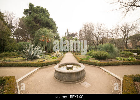 Real Jardin Botanico, Madrid, Janvier 2019 Banque D'Images