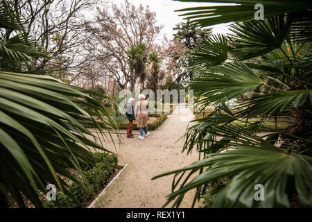 Real Jardin Botanico, Madrid, Janvier 2019 Banque D'Images