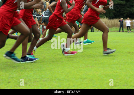 Les coureurs de cross-country sur l'herbe verte Banque D'Images