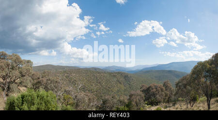 Wallace Craigie Lookout, New South Wales, Australie Banque D'Images