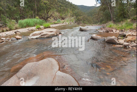 Creek dans le haut pays de l'époque victorienne, Victoria, Australie Banque D'Images