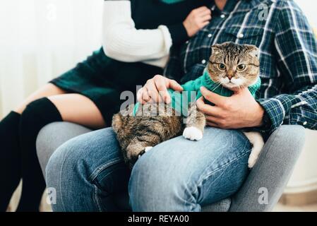 Couple in love situées près de l'arbre de Noël et jouer avec chat à la maison. Banque D'Images