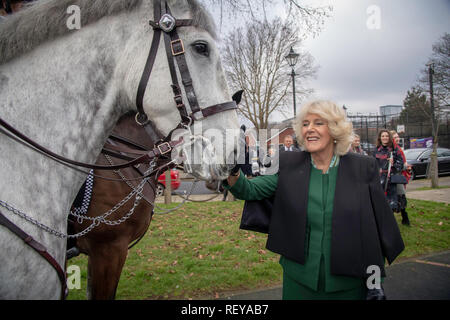 La duchesse de Cornouailles répond aux deux policiers les chevaux et leurs cavaliers, nommé Rebel, gauche, et courtois, droite, avec cavaliers Officier Turnball, et Goldstien, lors de sa visite au Caxton Hall Community Centre où elle a rencontré les membres de l'Association des résidents de Malmesbury prenant part à une sélection de la litière. Banque D'Images