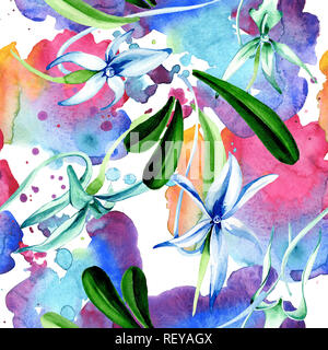 Blue orchidée rare. Botanique Floral fleur. Lame de ressort sauvages. Illustration à l'aquarelle. Aquarelle Dessin aquarelle mode isolé. Bac transparent Banque D'Images