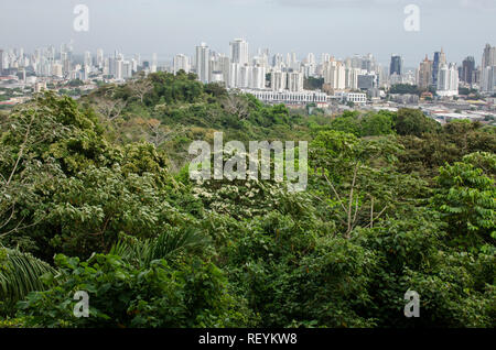 Panama City Skyline vu de Metropolitan National Park Banque D'Images