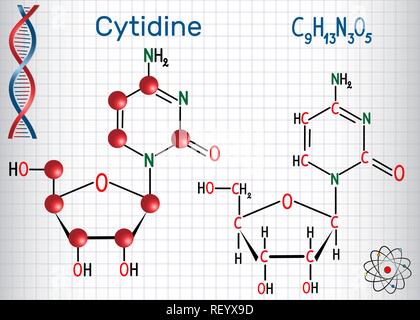 - Molécule cytidine nucléosidiques de la pyrimidine, sont des éléments importants de l'ARN. Formule chimique structurale et molécule modèle. Feuille de papier dans une cage. Vector Illustration de Vecteur