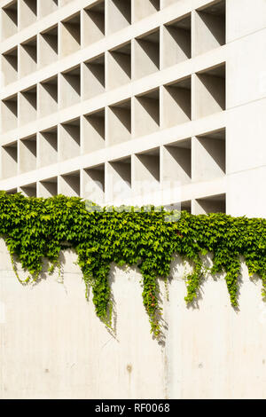 La façade de béton de la Bankia siège à Grenade, Espagne. (Photo crédit : Gonzales Photo - Paul Crudge). Banque D'Images