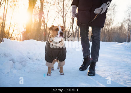 Marcher avec un chien sur froide journée d'hiver. Personne avec un chien dans des vêtements chauds sur la laisse à un parc Banque D'Images