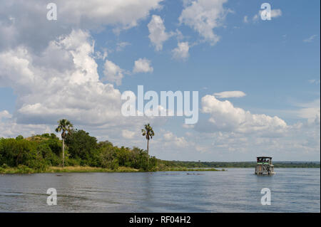 Les touristes prendre une croisière sur le Nil Victoria à visiter dans Murchison Falls Murchison Falls National Park, en Ouganda avec l'observation sur le chemin Banque D'Images