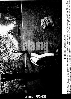 . Pelouses, et comment les faire : avec la tenue convenable de putting greens . Les pelouses. . Veuillez noter que ces images sont extraites de la page numérisée des images qui peuvent avoir été retouchées numériquement pour plus de lisibilité - coloration et l'aspect de ces illustrations ne peut pas parfaitement ressembler à l'œuvre originale.. Barron, Leonard, 1868-1938. Garden City, N. Y. : Doubleday, Page &AMP ; Co. Banque D'Images