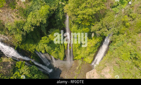 Cascade dans la forêt verte. Vue aérienne de Sekumpul triple cascade tropicale jungle de montagne. Bali,Indonésie. Concept de voyage. Banque D'Images