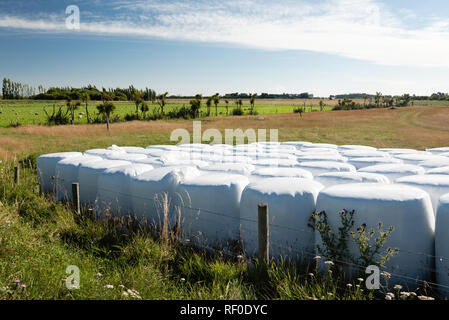 Faites récemment sur un ensilage en Canterbury farm, South Island, New Zealand. Banque D'Images