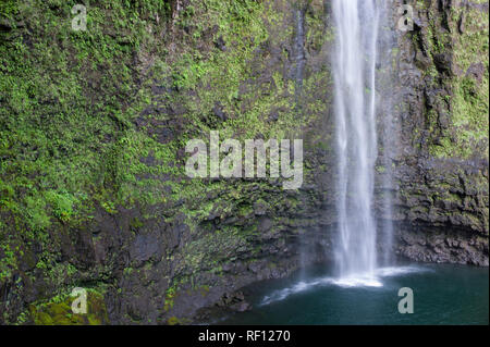 La côte de Na Pali de Kauai, Hawaii, est accessible uniquement à pied de la superbe Kalalau trail randonnée. Hanakapiai Falls est une noble détour Banque D'Images