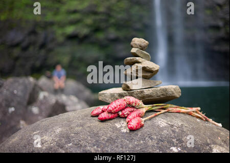 La côte de Na Pali de Kauai, Hawaii, est accessible uniquement à pied de la superbe Kalalau trail randonnée. Hanakapiai Falls est une noble détour Banque D'Images