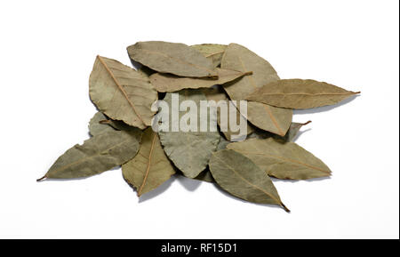 Pile de feuilles de laurier Banque D'Images