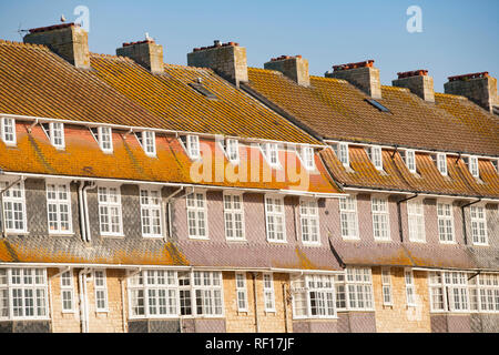 Maisons donnant sur West Bay Harbour avec lichen jaune qui poussent sur eux. Baie ouest Dorset England UK GO Banque D'Images