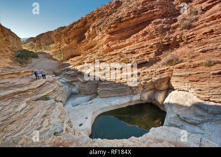 Les randonneurs à l'eau des piscines, Ernst Tinaja Désert de Chihuahuan à Big Bend National Park, Texas, États-Unis Banque D'Images