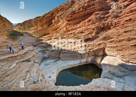 Les randonneurs à l'eau des piscines, Ernst Tinaja Désert de Chihuahuan à Big Bend National Park, Texas, États-Unis Banque D'Images