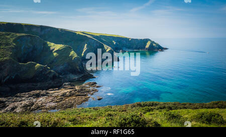 Dans le paysage de prairie verte / La campagne des Cornouailles près du joli village de pêcheurs de Port Isaac sur la côte nord des Cornouailles, Angleterre Banque D'Images