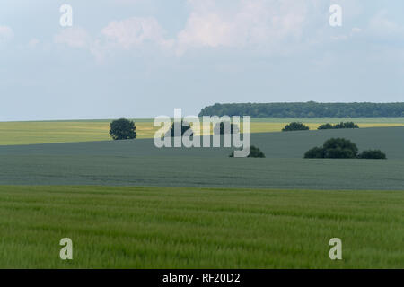 Paysage agricole de printemps, Podilski Tovtry parc naturel national, Podolie région d'Ukraine Banque D'Images