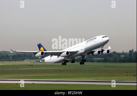 Lufthansa Airbus A340, l'un des trois avions de grande capacité en poste à Düsseldorf depuis mai 2008 pour les connexions au Canada Banque D'Images