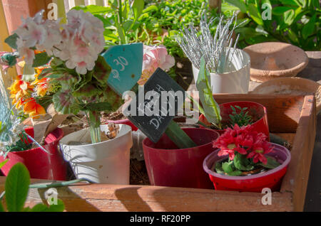 Sur place tous les jours colorés en bois signe entre fleurs artificielles in flower shop Banque D'Images