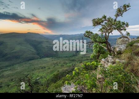 Les zones rurales de KwaZulu-Natal, Afrique du Sud, disposent de pâturage et l'agriculture à petite échelle sur des collines herbeuses. Cette vallée est vue d'Hluhluwe Banque D'Images