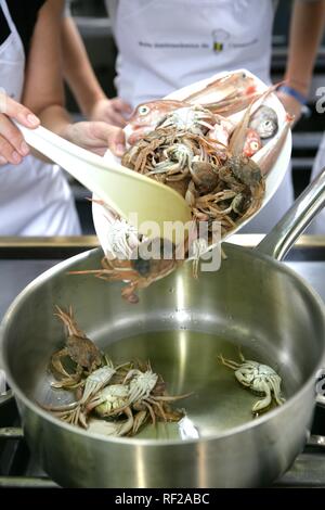 Cuina Aula de l'école culinaire spécialisée dans la cuisine catalane, de cuisine dans Calella de Palafrugell, Costa Blanca Banque D'Images
