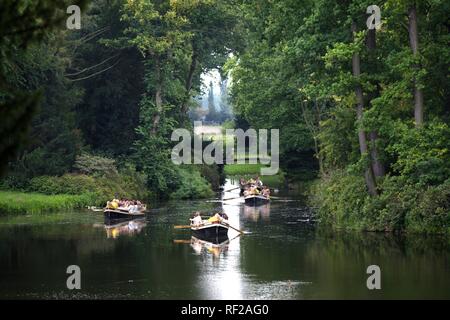 Barque guidée à travers les lacs et canaux de Gartenreich, Dessau-Woerlitz Dessau-Woerlitz Domaine jardin Banque D'Images