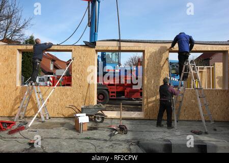 Charpentiers construction d'une maison en bois, une maison familiale à l'aide de cadre en bois, maison écologique, Recklinghausen Banque D'Images