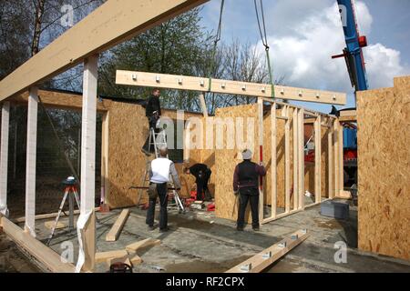 Charpentiers construction d'une maison en bois, une maison familiale à l'aide de cadre en bois, maison écologique, Recklinghausen Banque D'Images