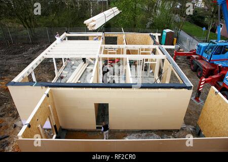 Charpentiers construction d'une maison en bois, une maison familiale à l'aide de cadre en bois, maison écologique, Recklinghausen Banque D'Images