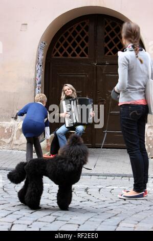 Jeune femme blonde l'accordéon musicien de rue et l'auditoire avec un caniche dans le centre historique de Vilnius Banque D'Images