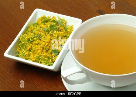 Houghton (Solidago virgaurea ou Woundwort), tisane Banque D'Images