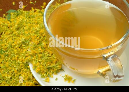 Houghton (Solidago virgaurea ou Woundwort), tisane Banque D'Images