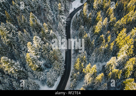 Forêt enneigée avec road Banque D'Images