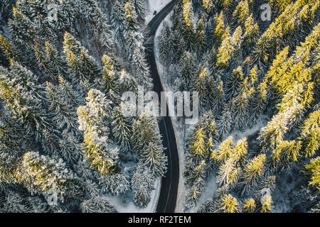 Forêt enneigée avec road Banque D'Images