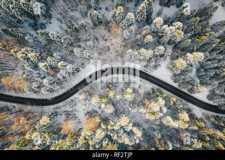 Chemin d'hiver entouré d'arbres couverts de neige Banque D'Images