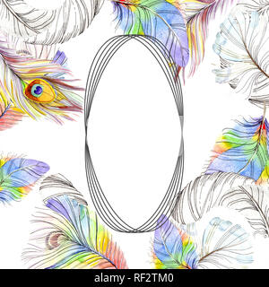 De plumes d'oiseaux colorés isolé de l'aile. Plume d'aquarelle pour cadre ou une bordure. Contexte aquarelle illustration set. Un mode de dessin aquarelle Banque D'Images