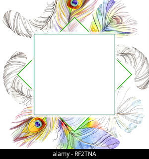 De plumes d'oiseaux colorés isolé de l'aile. Plume d'aquarelle pour cadre ou une bordure. Contexte aquarelle illustration set. Un mode de dessin aquarelle Banque D'Images